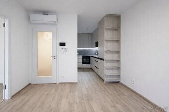 Pronájem bytu 2+kk  Malešická, Praha 3 - Žižkov