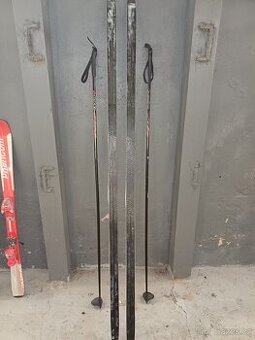 Běžky Fischer + boty