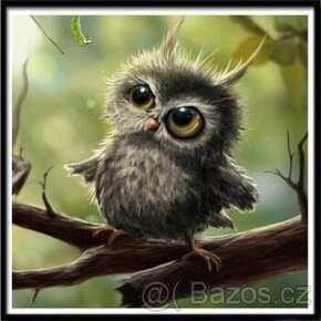 Sova - diamantové malování