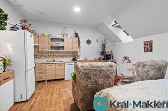 Pronájem bytu 1+kk 40m2 Rochov u Litoměřic