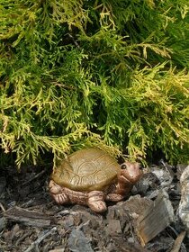 Zahradní dekorace - želvička, želva malá - 1