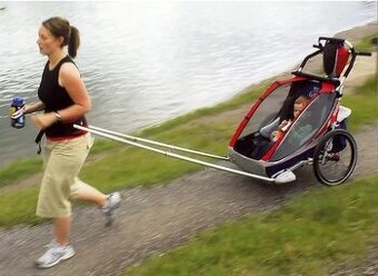 Nordic walking set chariot hiking set