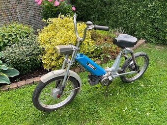 Babbeta 207