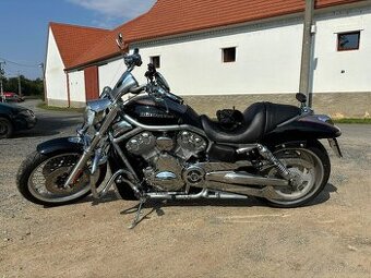Harley Davidson V-rod VRSCAW