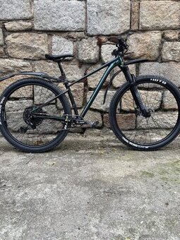 CANNONDALE TRAIL SE 29