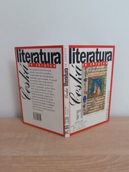 NOVÁ Česká literatura ve zkratce kniha