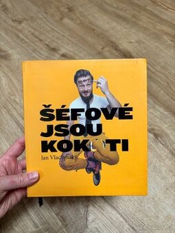 Jan Vlachynský: Šéfové jsou kokoti