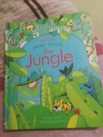 Dětské anglické leporelo The Jungle