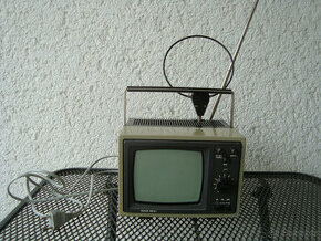 Mini televizor Šilelis