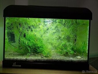 Akvárium 25l