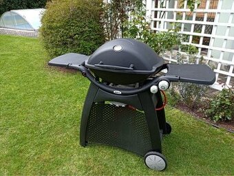 Weber Q3000 Gril