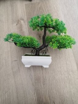 Dekorace Bonsai