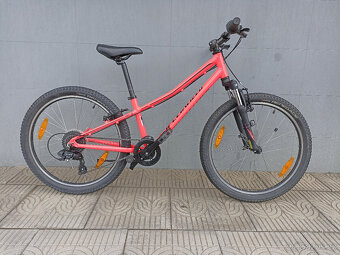 Specialized Hotrock 24"
