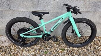 Specialized Riprock 20