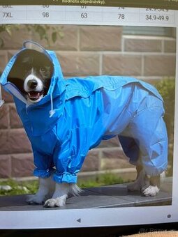 Pláštěnka pes