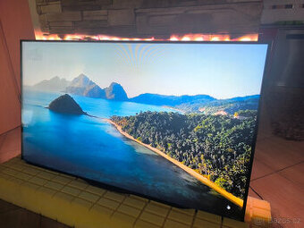 Philips 55PFL7008K černá