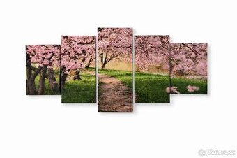Obraz sakura (5 dílný)
