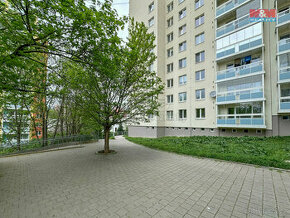 Prodej bytu 4+1, 77 m², Brno, ul. Havelkova