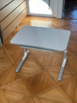 Dětský ergonomický rostoucí stůl Mayer Junior 32W1