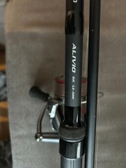 Kaprový prut Shimano Alivio