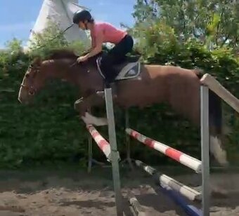 3lety valach hoby, sport…