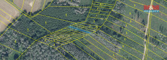 Prodej lesa, 281 m², Havlíčkův Brod