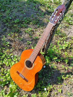 klasická kytara Vicente Sanchis - handmade in Spain 1987