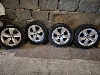 Zimni Al. sada 15 , 5x100 Fabia 3 , Rapid