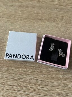 Náušnice Pandora