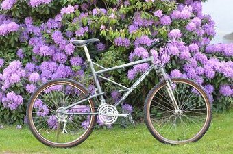 Checker Pig CPX 3066 S