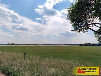 Šošůvka, zemědělská půda, celková rozloha 12.004 m2 - pozeme - 1