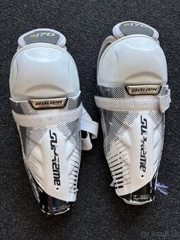 Hokejove holene 9”