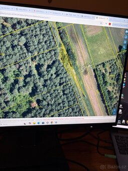 lesní pozemek v Břeclavi možnost elektriky a chaty
