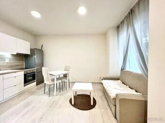 Pronájem bytu 1+kk • 21 m² bez realitky