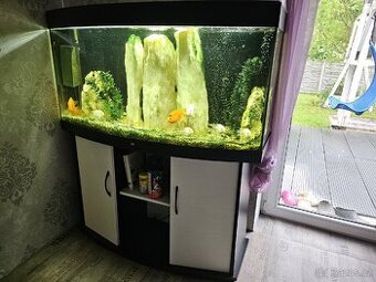 Prodam kompletni akvarium 180litru