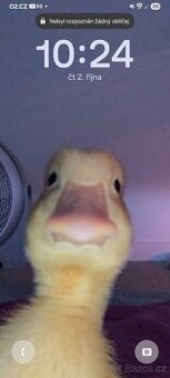 Hledám kamarády na hraní her