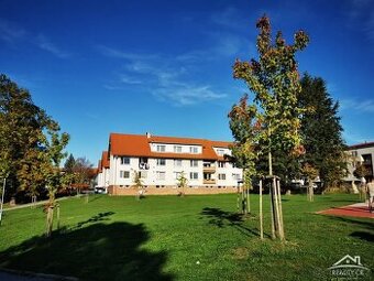 Prodej byt 2+1 Telč