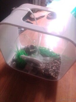 Akvárium aquarium Biorb