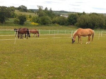 Rekreační ježdění na koni