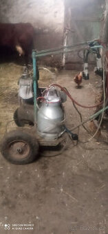 dojička a odstředivka