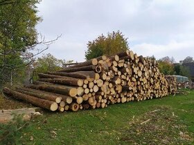 Palivové dřevo - smrk