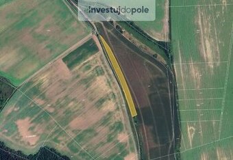 Prodej pole v k.ú. Dobřichov