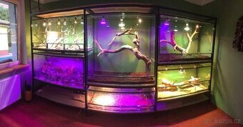 Terarium