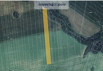 Prodej pole v k.ú. Doubravice nad Svitavou