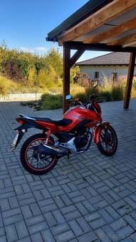 Honda CBF 125 (2019), 8 800 km