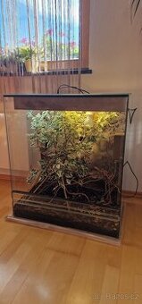 Terárium pro chameleona