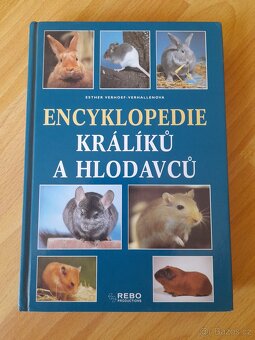 Encyklopedie králíků a hlodavců.Esther Verhoef-Verhallenova