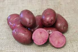 Sadba  brambor  Mulberry  beauty red