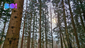 Prodej půdy a lesa, 17 190 m², Liptál