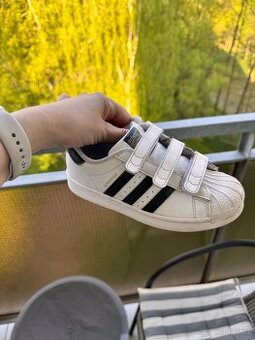 Adidas superstar 31,5
